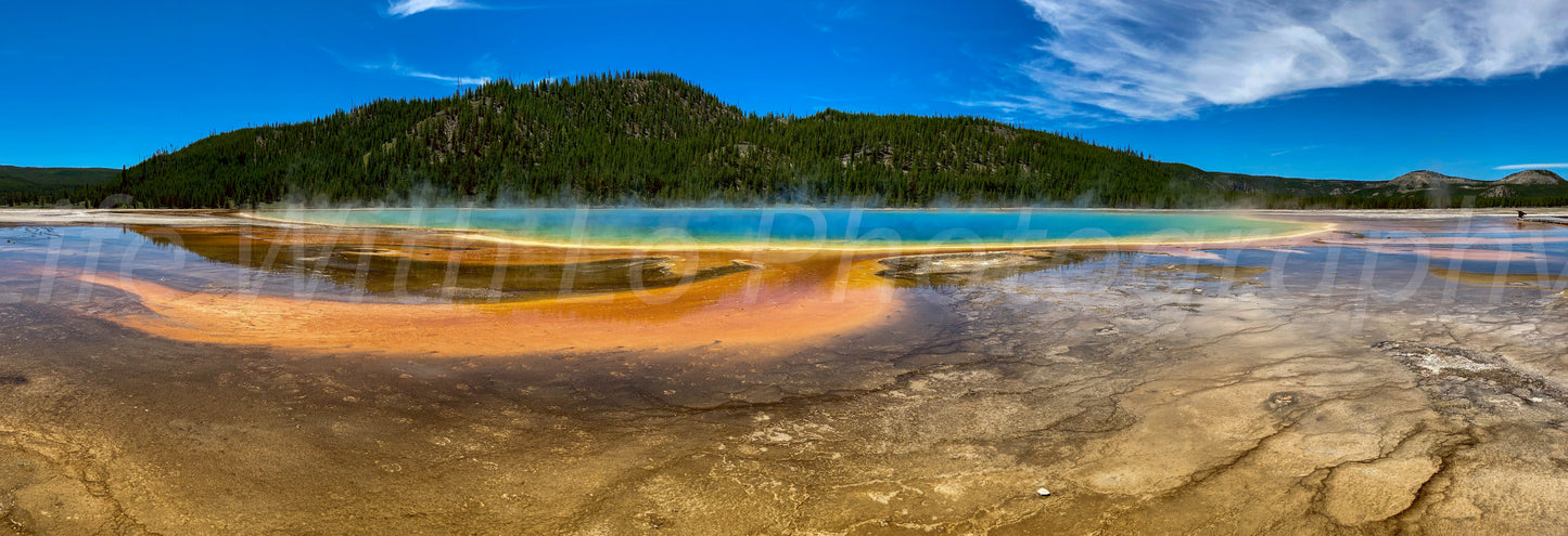 Grand Prismatic Panorama