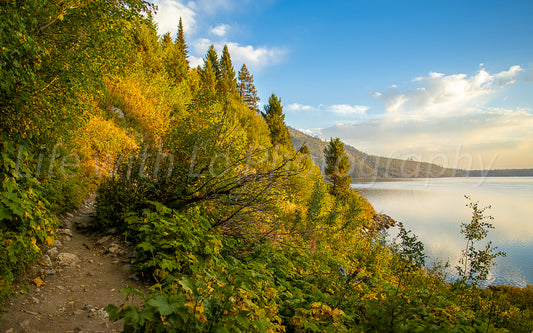 Jenny Lake