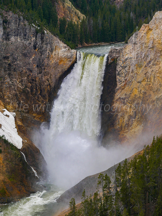 Lower Falls